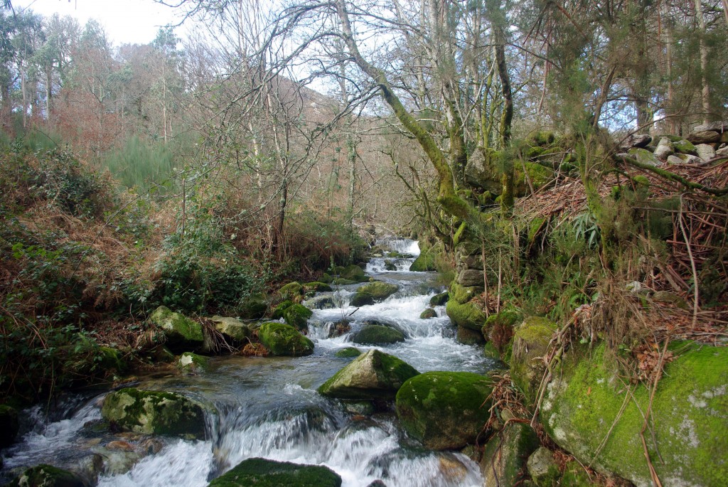 Foto: Serra do Suido - Fornelos de Montes (Pontevedra), España