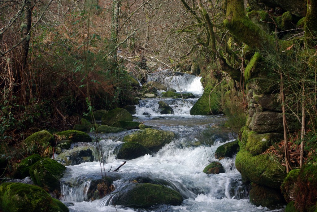 Foto: Serra do Suido - Fornelos de Montes (Pontevedra), España