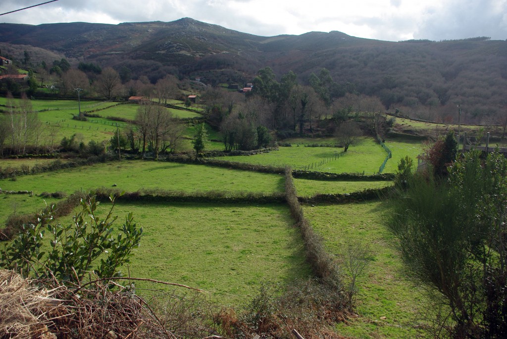 Foto: Serra do Suido - Fornelos de Montes (Pontevedra), España