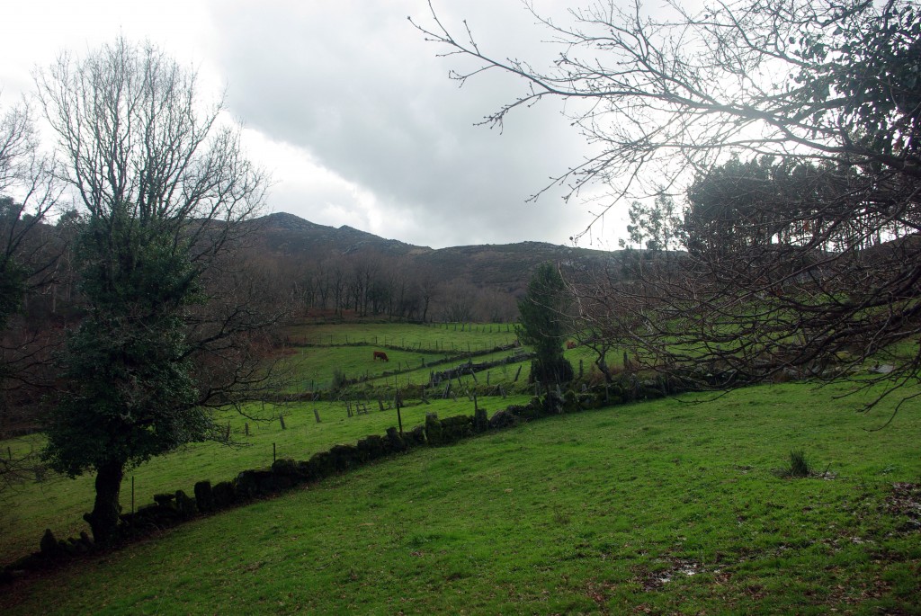 Foto: Serra do Suido - Fornelos de Montes (Pontevedra), España