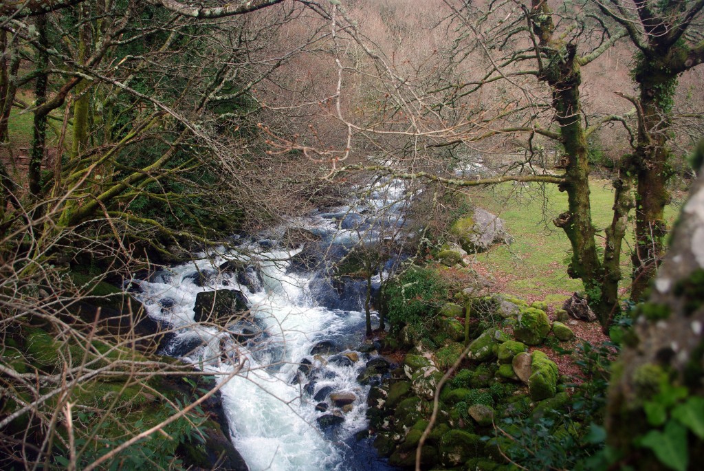 Foto: Serra do Suido - Fornelos de Montes (Pontevedra), España