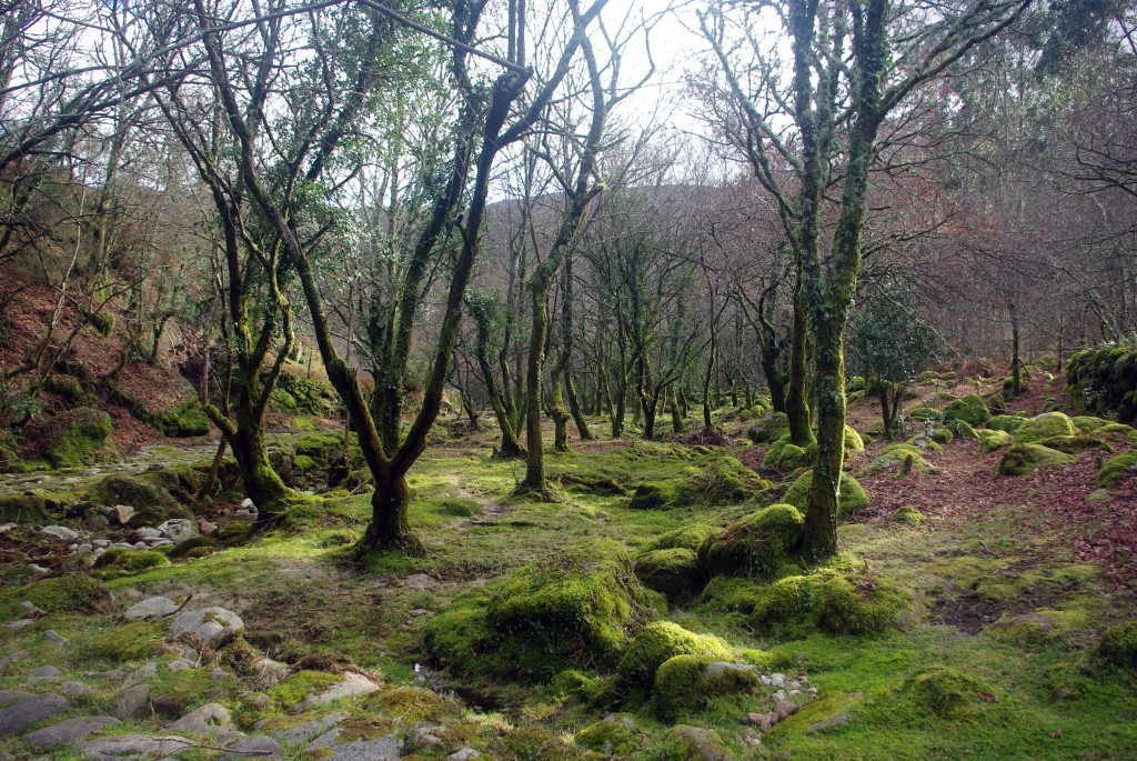 Foto: Serra do Suido - Fornelos de Montes (Pontevedra), España