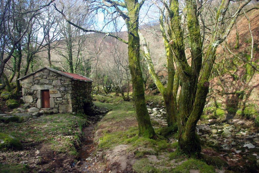 Foto: Serra do Suido - Fornelos de Montes (Pontevedra), España