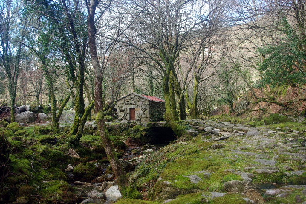 Foto: Serra do Suido - Fornelos de Montes (Pontevedra), España