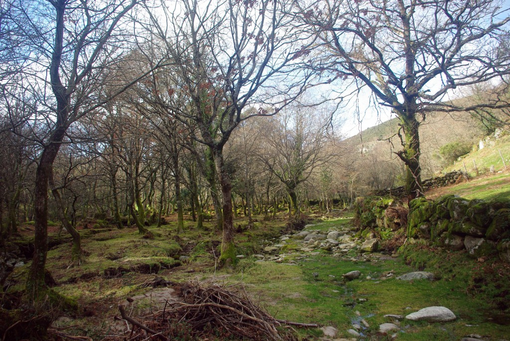 Foto: Serra do Suido - Fornelos de Montes (Pontevedra), España