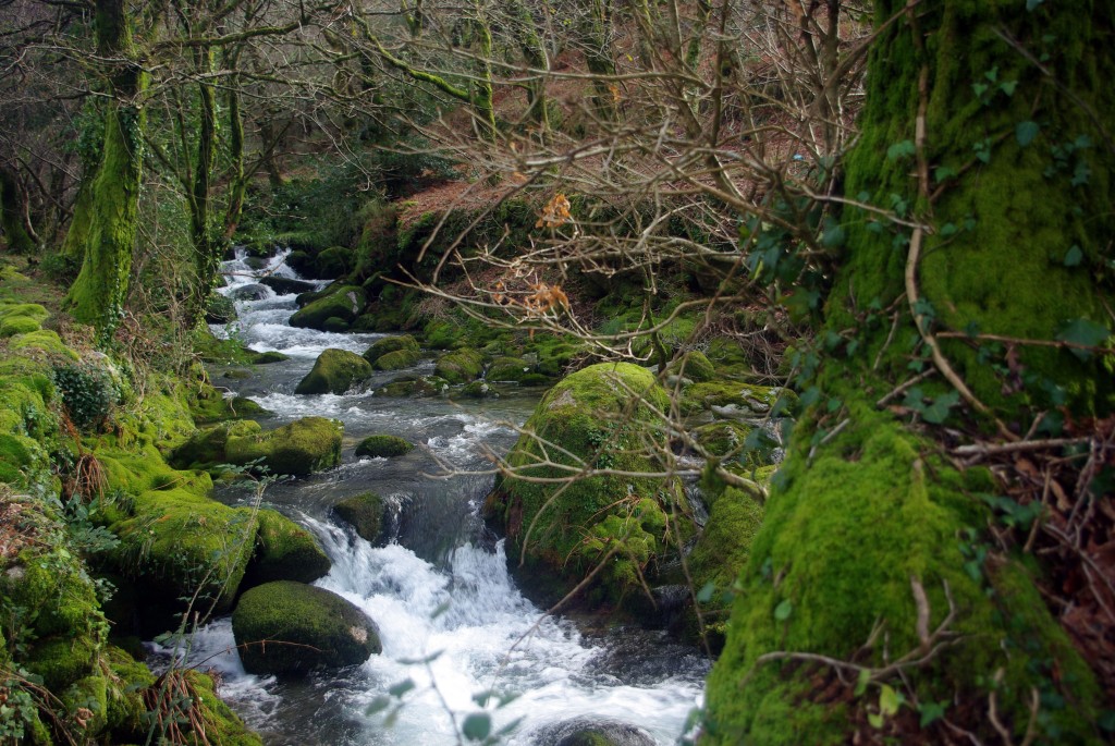 Foto: Serra do Suido - Fornelos de Montes (Pontevedra), España