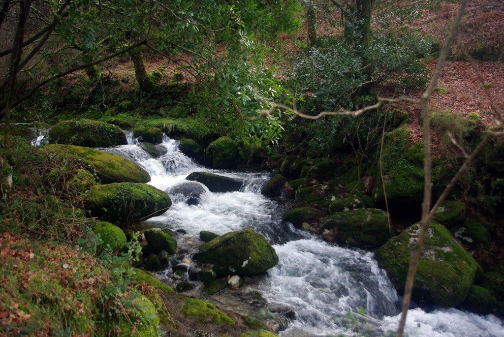 Foto: Serra do Suido - Fornelos de Montes (Pontevedra), España