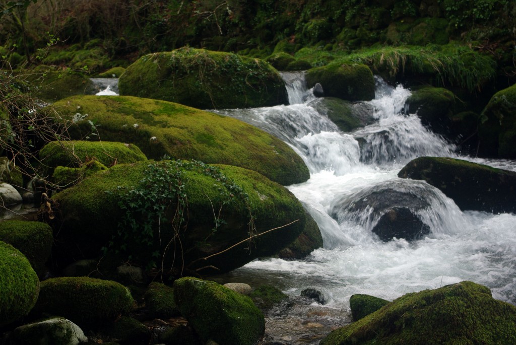 Foto: Serra do Suido - Fornelos de Montes (Pontevedra), España