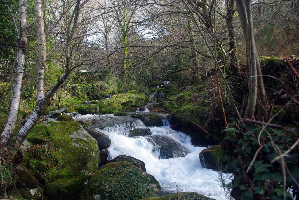 Foto: Serra do Suido - Fornelos de Montes (Pontevedra), España