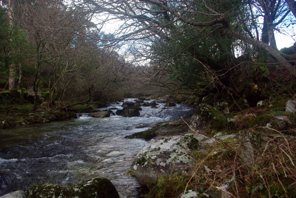 Foto: Serra do Suido - Fornelos de Montes (Pontevedra), España