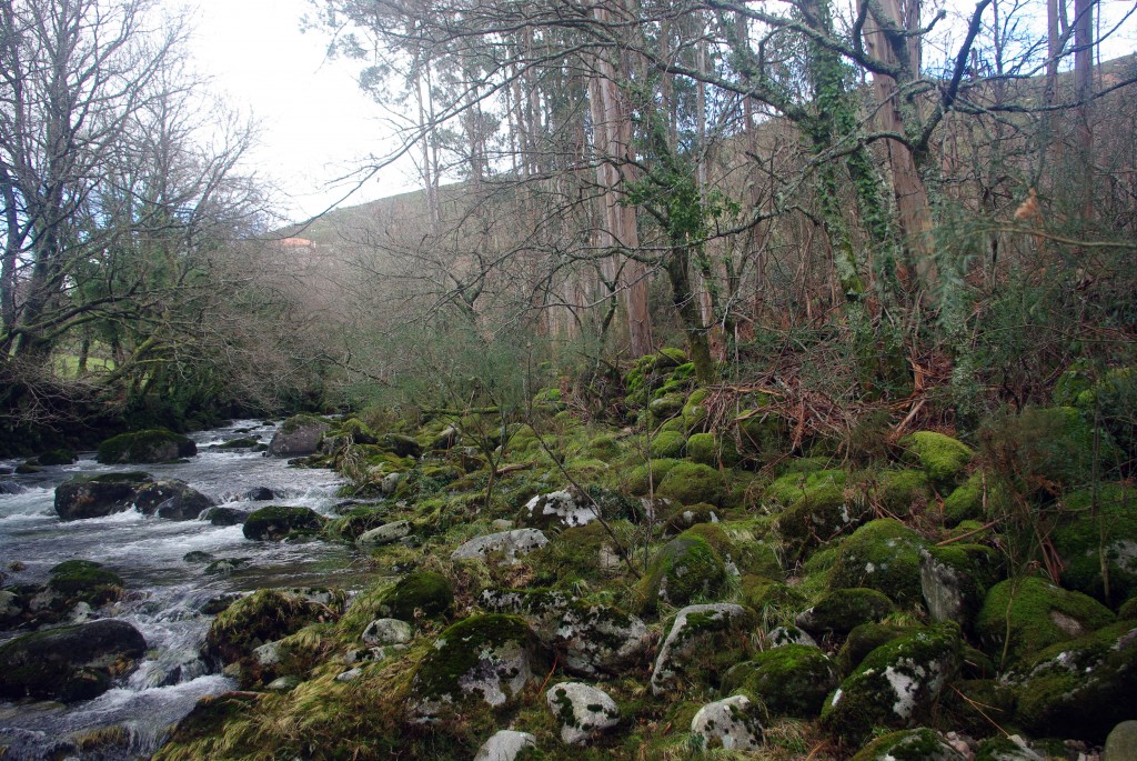 Foto: Serra do Suido - Fornelos de Montes (Pontevedra), España