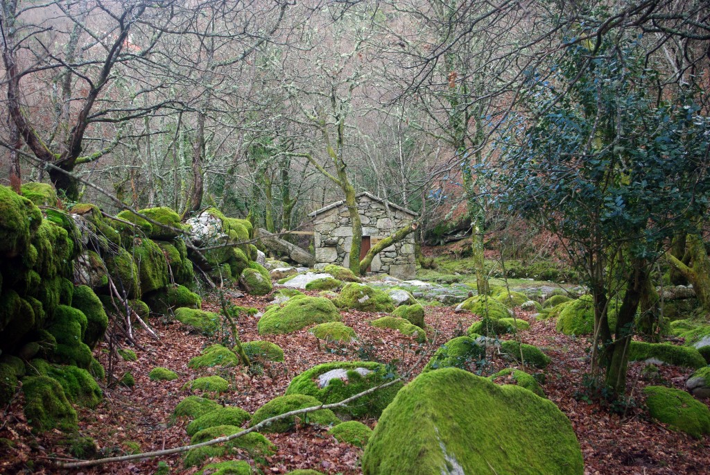 Foto: Serra do Suido - Fornelos de Montes (Pontevedra), España