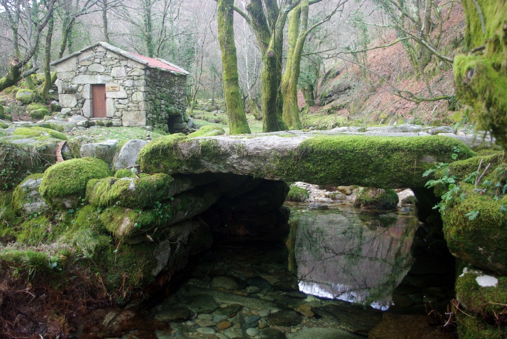 Foto: Serra do Suido - Fornelos de Montes (Pontevedra), España