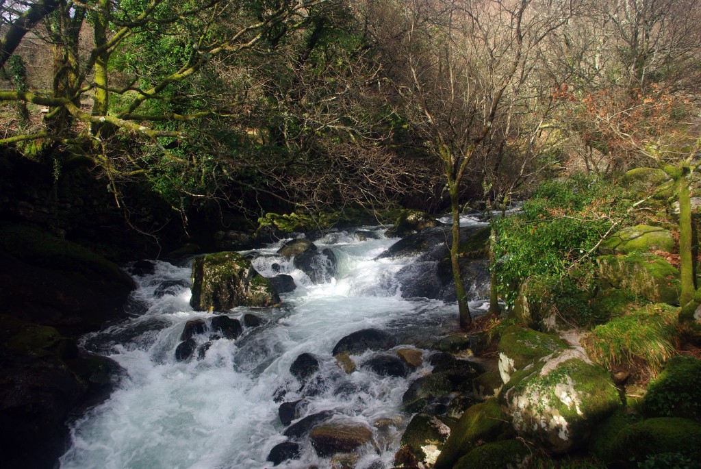 Foto: Serra do Suido - Fornelos de Montes (Pontevedra), España