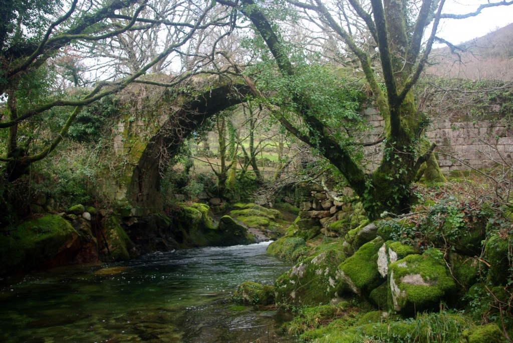 Foto: Serra do Suido - Fornelos de Montes (Pontevedra), España