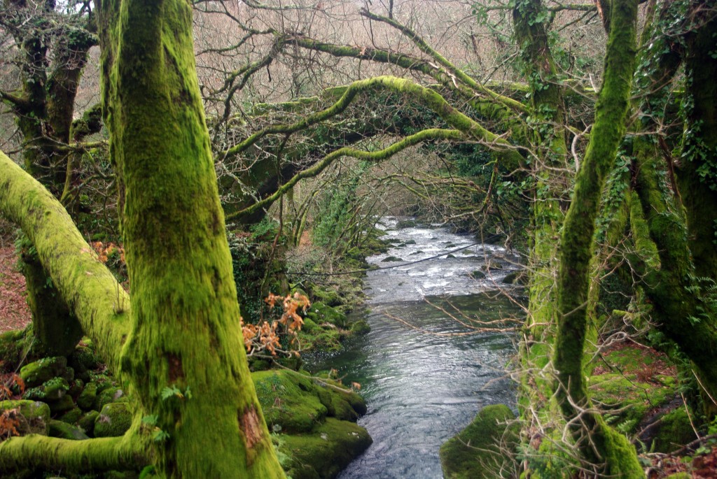 Foto: Serra do Suido - Fornelos de Montes (Pontevedra), España