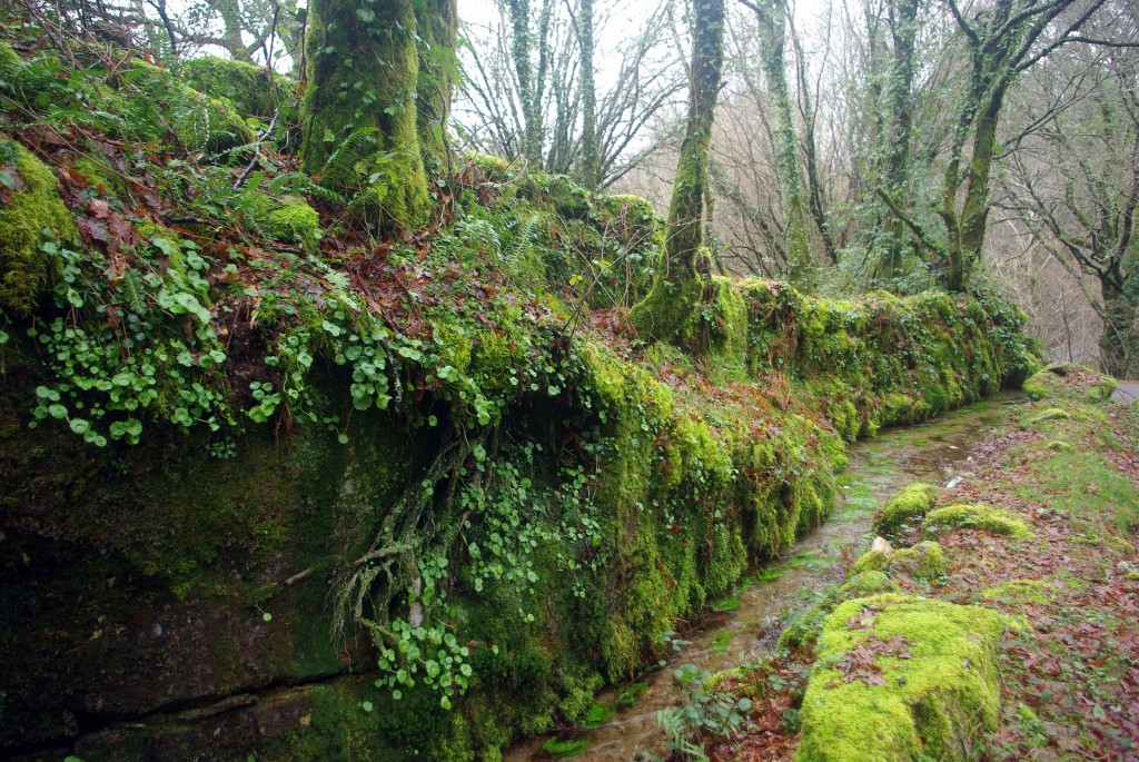 Foto: Serra do Suido - Fornelos de Montes (Pontevedra), España