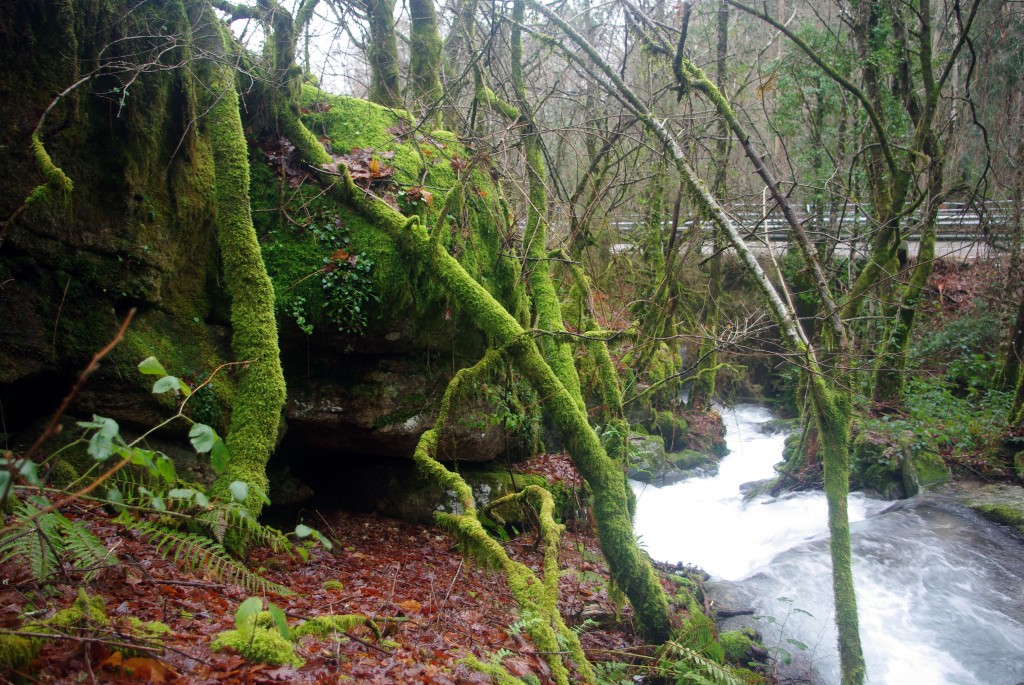 Foto: Serra do Suido - Covelo (Pontevedra), España