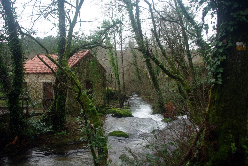 Foto: Serra do Suido - Fornelos de Montes (Pontevedra), España