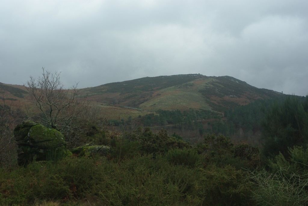 Foto de Fornelos de Montes (Pontevedra), España