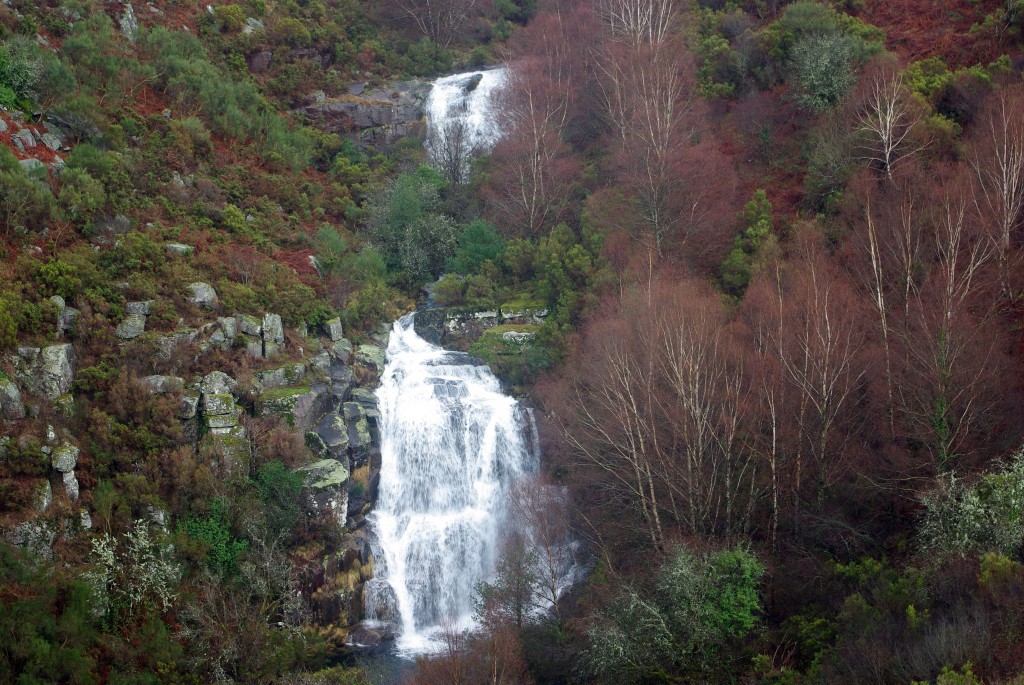 Foto de Fornelos de Montes (Pontevedra), España