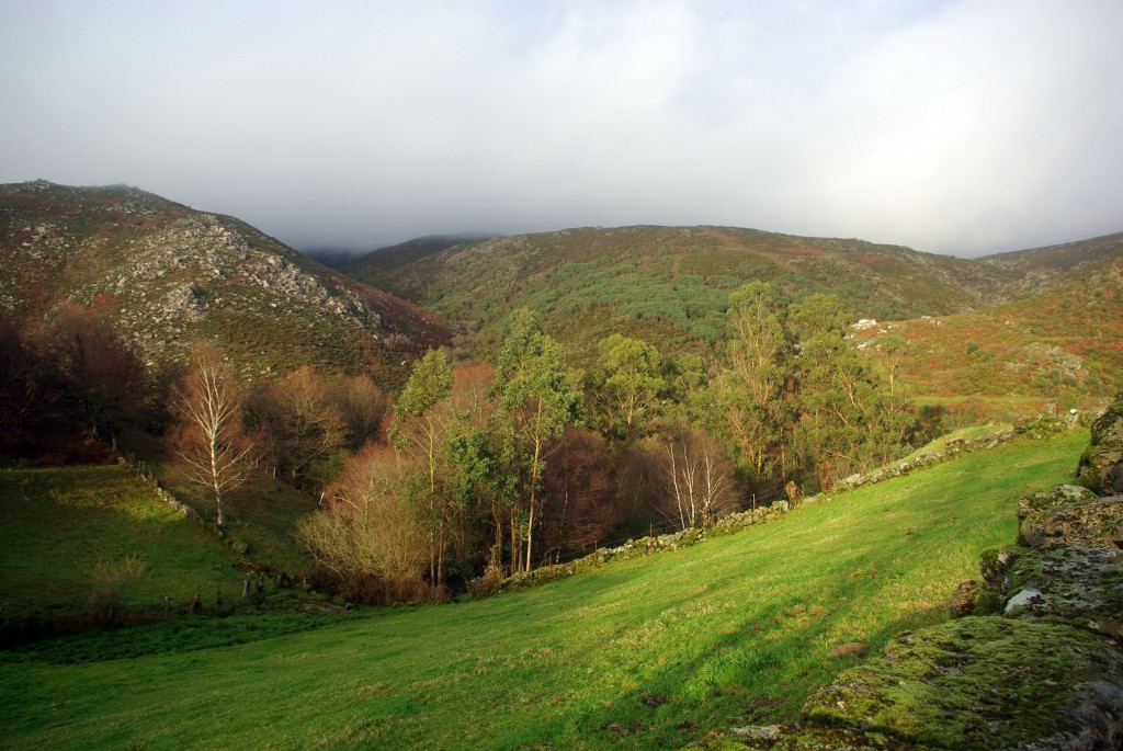 Foto de Fornelos de Montes (Pontevedra), España