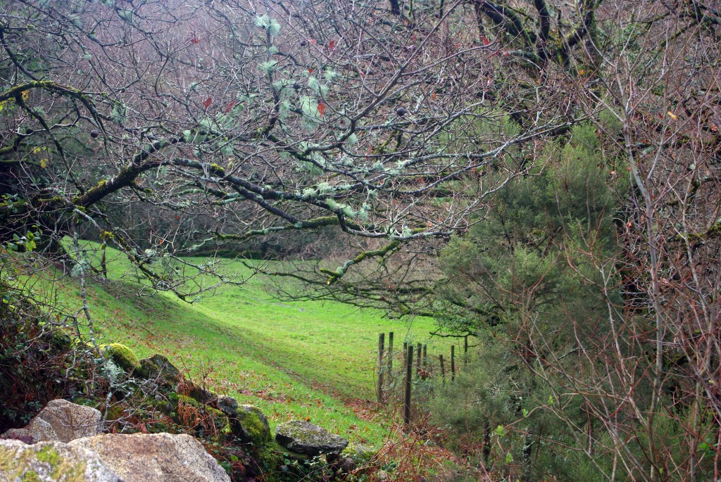 Foto de Fornelos de Montes (Pontevedra), España