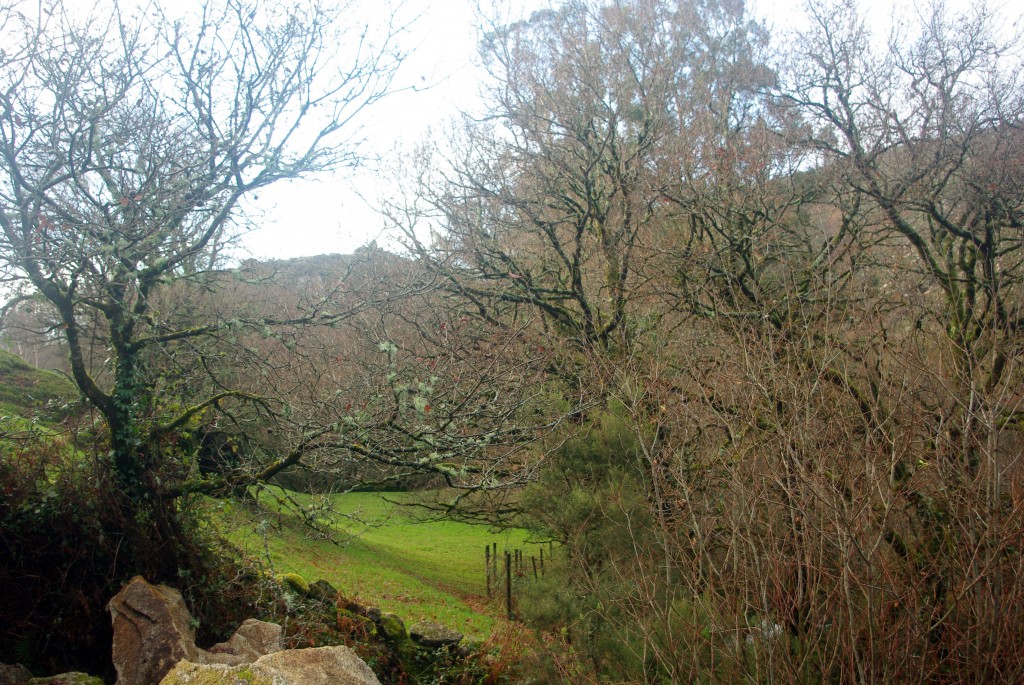 Foto de Fornelos de Montes (Pontevedra), España