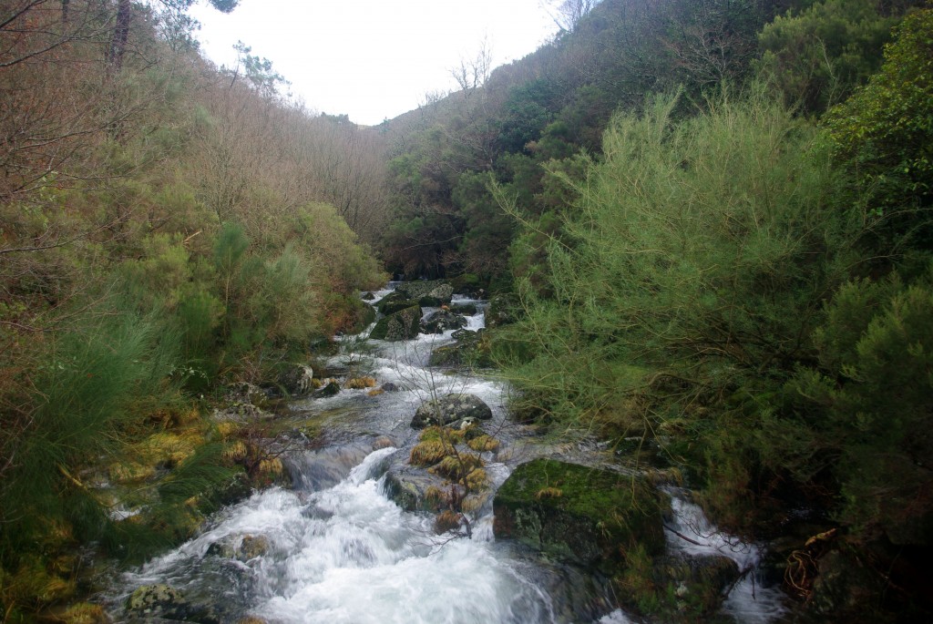 Foto: Serra do Suido - Fornelos de Montes (Pontevedra), España