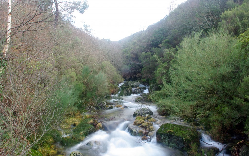 Foto: Serra do Suido - Fornelos de Montes (Pontevedra), España