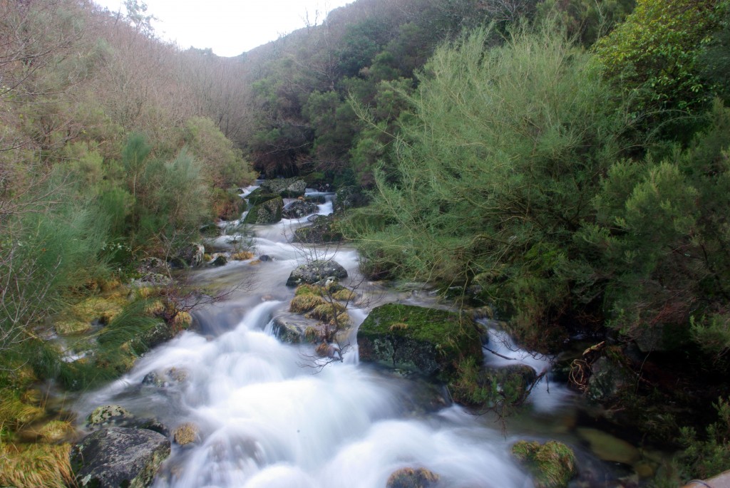 Foto: Serra do Suido - Fornelos de Montes (Pontevedra), España