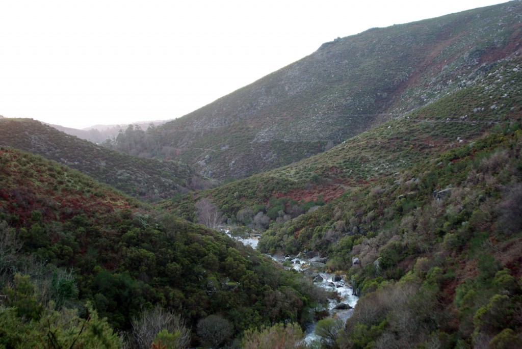 Foto: Serra do Suido - Fornelos de Montes (Pontevedra), España