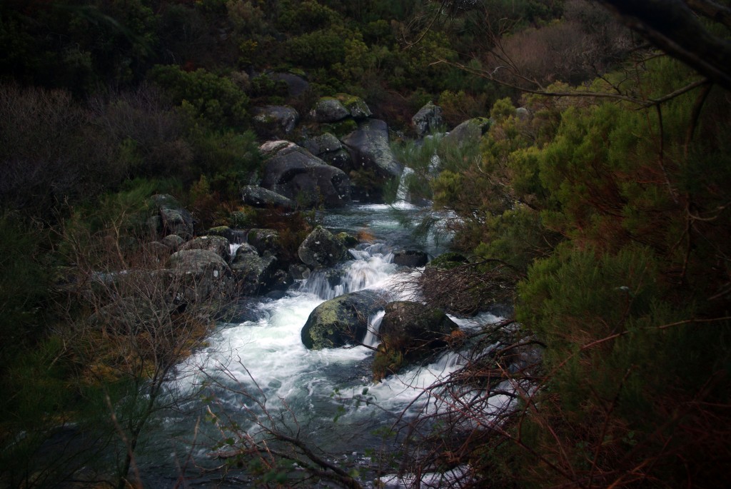 Foto: Serra do Suido - Fornelos de Montes (Pontevedra), España