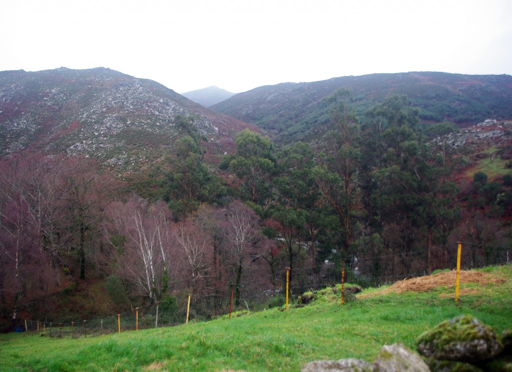 Foto: Serra do Suido - Fornelos de Montes (Pontevedra), España