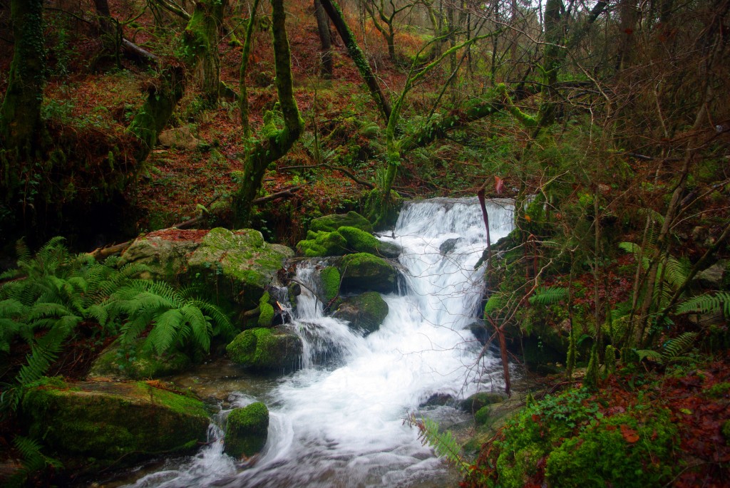 Foto: Serra do Suido - Fornelos de Montes (Pontevedra), España