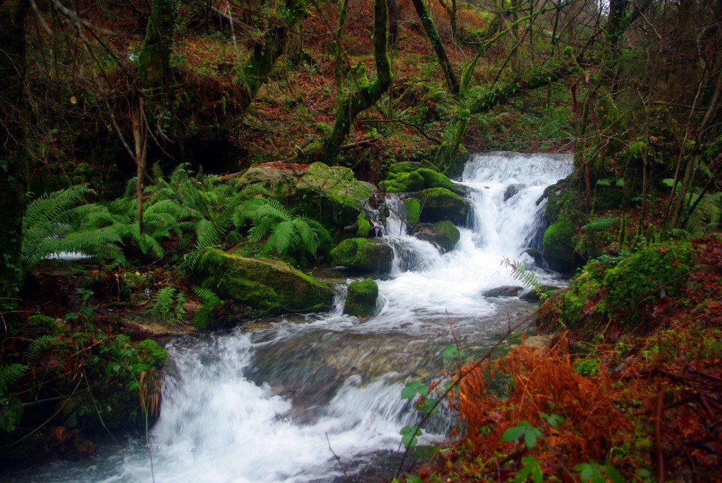 Foto: Serra do Suido - Fornelos de Montes (Pontevedra), España