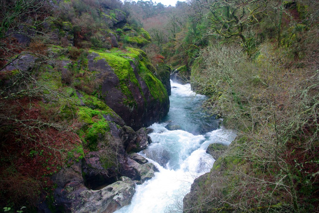 Foto: Serra do Suido - Fornelos de Montes (Pontevedra), España