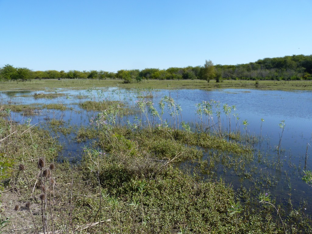 Foto: Reserva Natural del Pilar - Pilar (Buenos Aires), Argentina