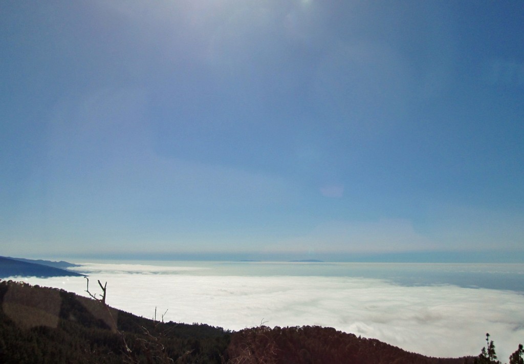 Foto: Mar de nubes - La Orotava (Santa Cruz de Tenerife), España