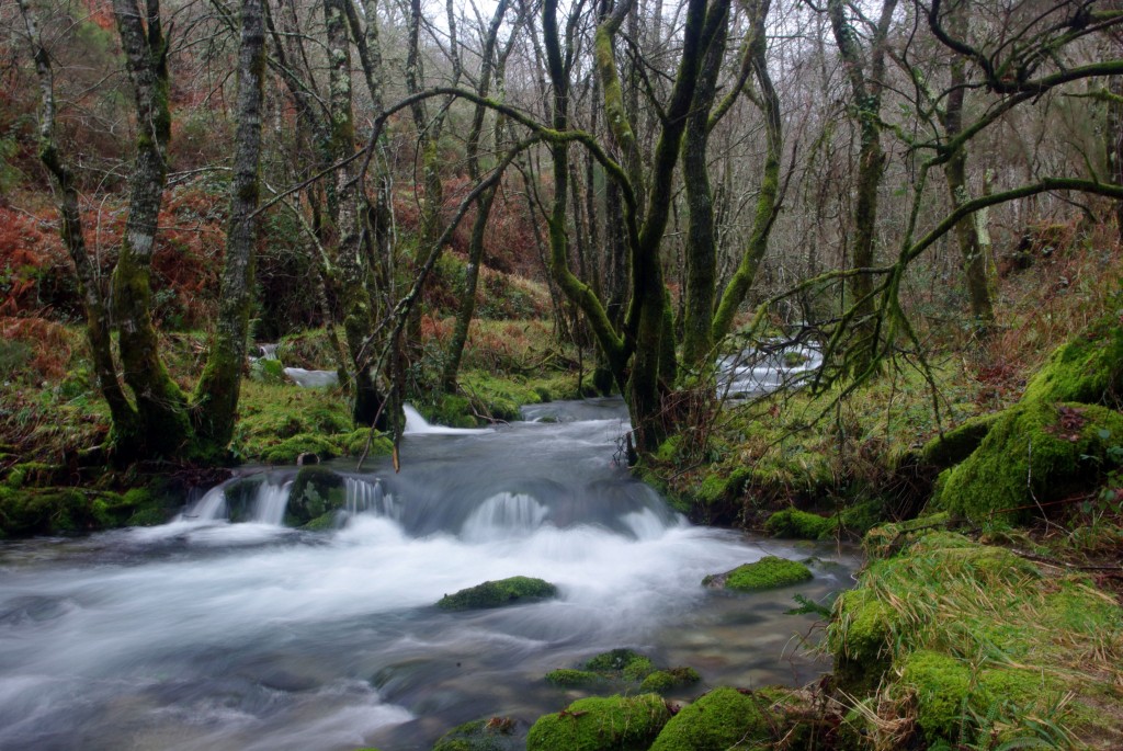 Foto de Covelo (Pontevedra), España