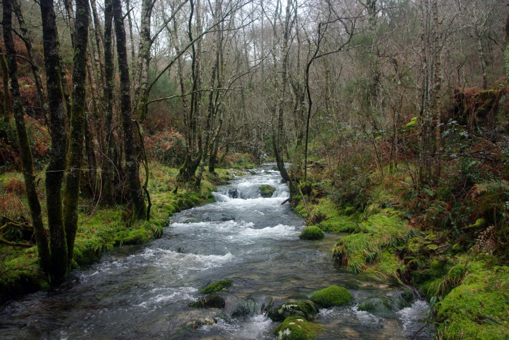 Foto de Covelo (Pontevedra), España