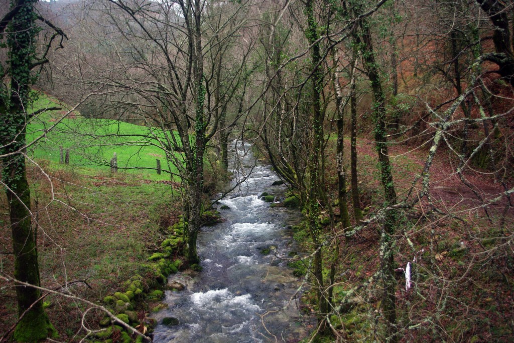 Foto de Covelo (Pontevedra), España