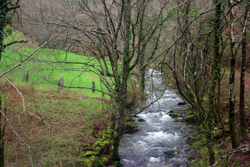 Foto de Covelo (Pontevedra), España