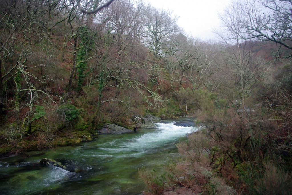 Foto de Fornelos de montes (Pontevedra), España