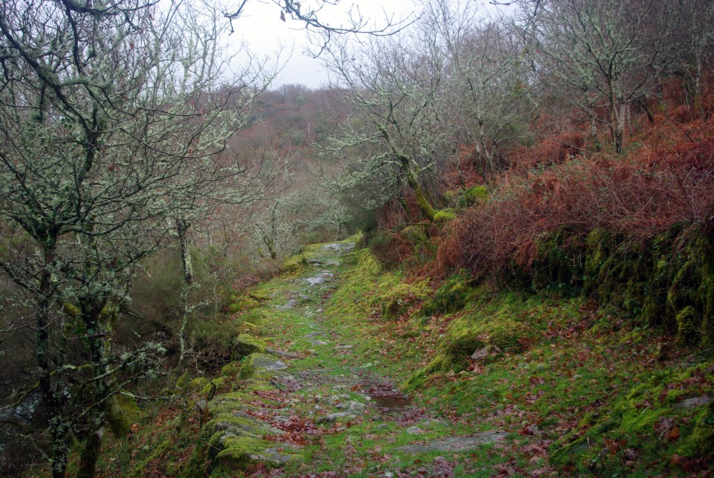 Foto de Fornelos de montes (Pontevedra), España