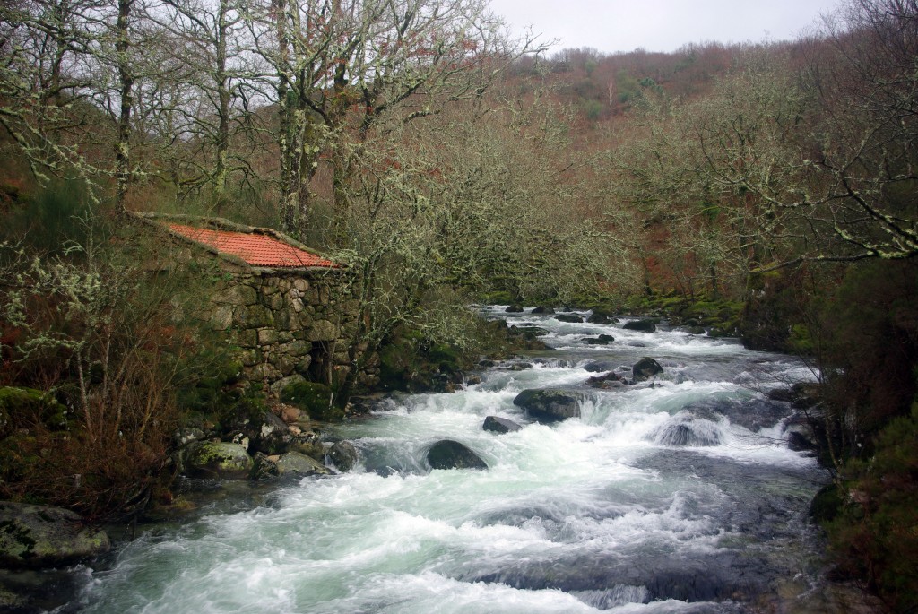 Foto de Fornelos de montes (Pontevedra), España