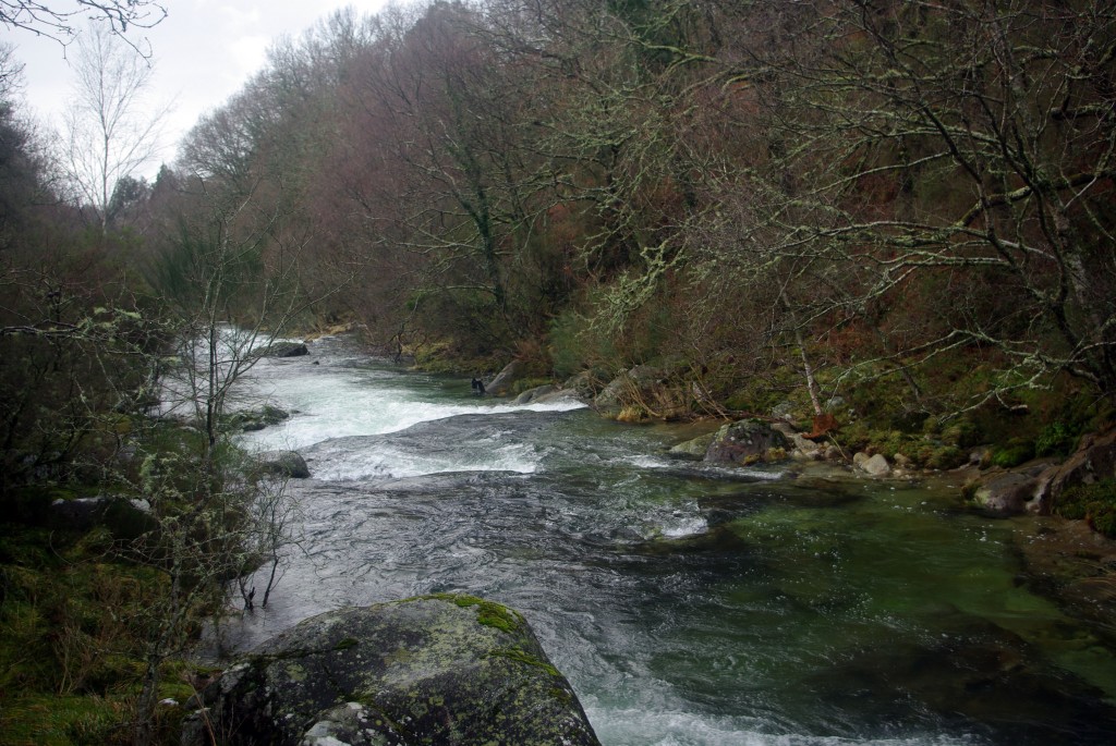 Foto de Fornelos De Montes (Pontevedra), España