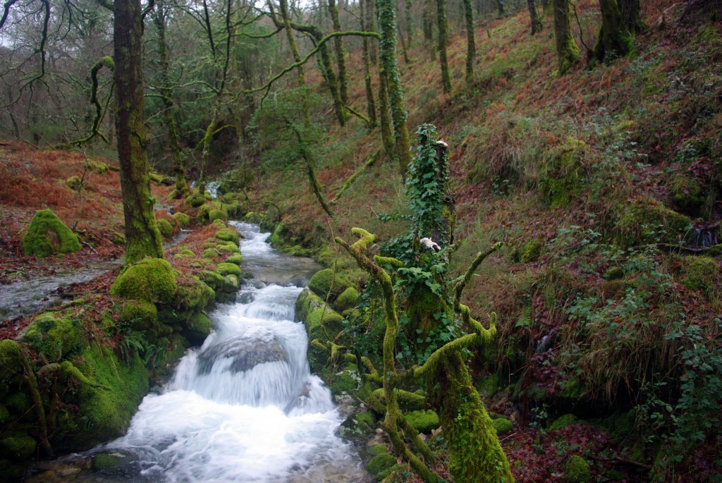 Foto de Fornelos De Montes (Pontevedra), España