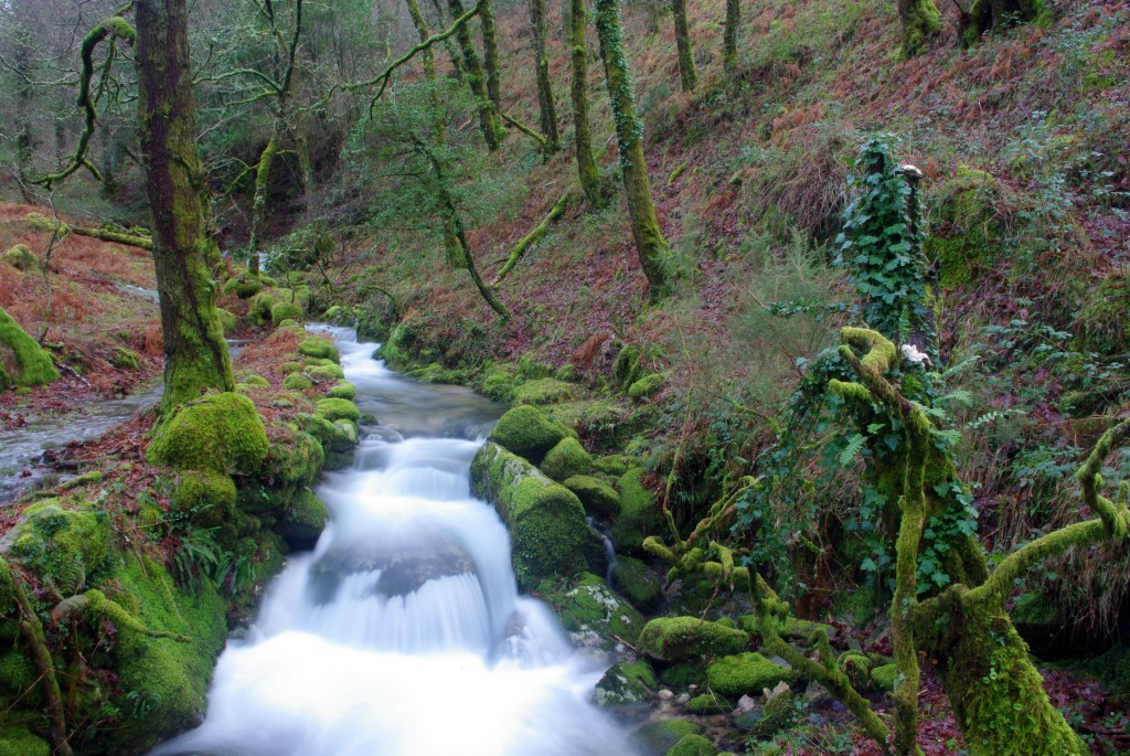 Foto de Fornelos De Montes (Pontevedra), España