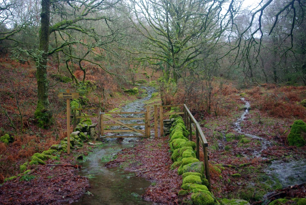 Foto de Fornelos De Montes (Pontevedra), España